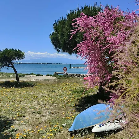Appartement T2 6 Couchages Avec Terrasse Et Acces Piscine Au Barcares - Fr-1-195-17 *